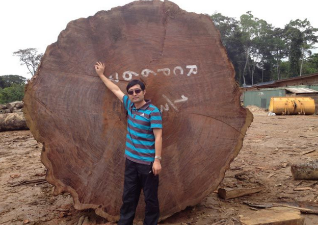 加蓬木业企业巡视之--加蓬鹏程国际木业公司