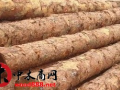 北京市华夏人合木材公司产品图片