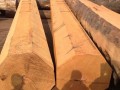 张家港市金港镇立发木业-产品图片