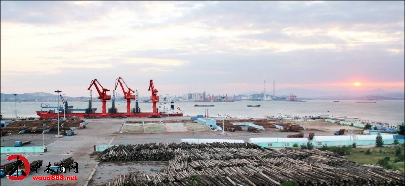 秀屿港辖区木材吞吐量一季度同比增长100.3%