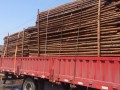 上海宇兴木业有限公司-产品图片