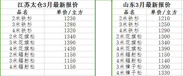 太仓港木材成交气氛上涨北美材比较活跃