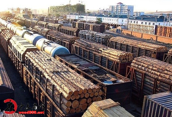俄罗斯铁路公司取消指定木材装运量50%限制