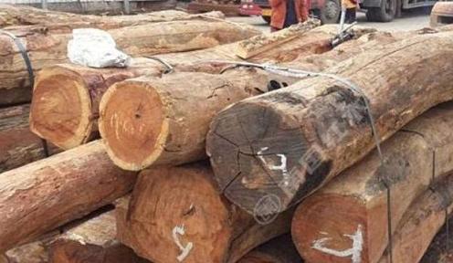 缅甸花梨近期或将占木材市场主导
