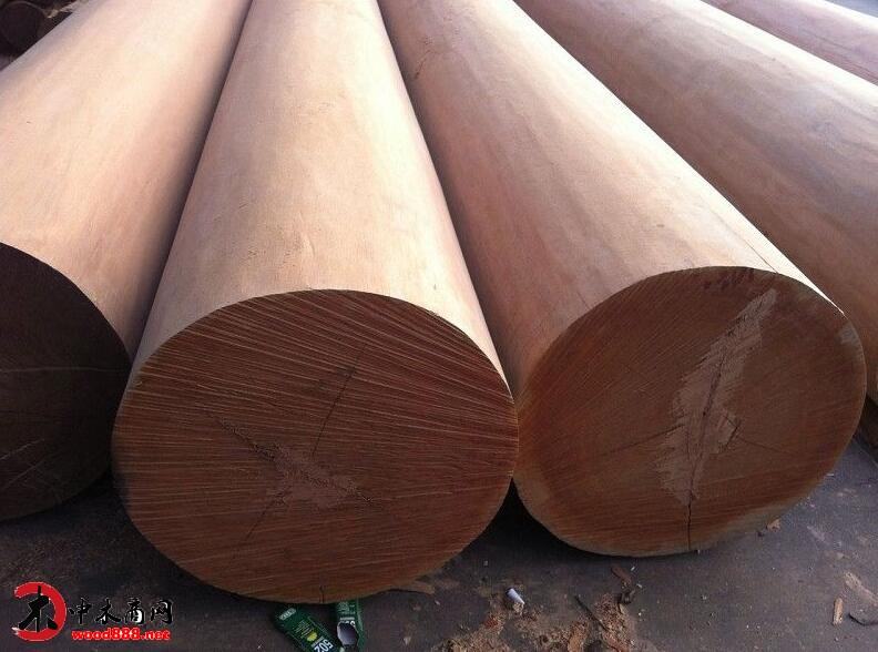 首批巴西桉木原木顺利进境 用于100万立方进口原木旋切项目