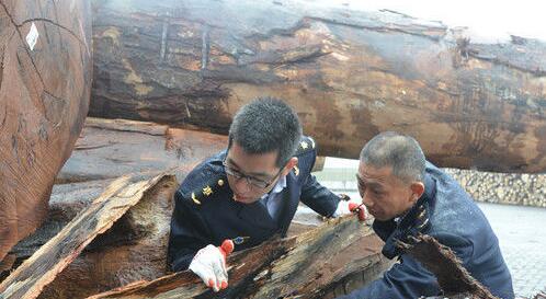 4月以来江苏镇江新民洲码头大量进口木材