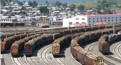 欧盟环保新规出台，我国木制品出口遇上贸易堡垒