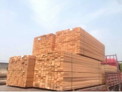 供应菠萝格地板料 菠萝格板材 菠萝格防腐木加工厂 金格木业图2