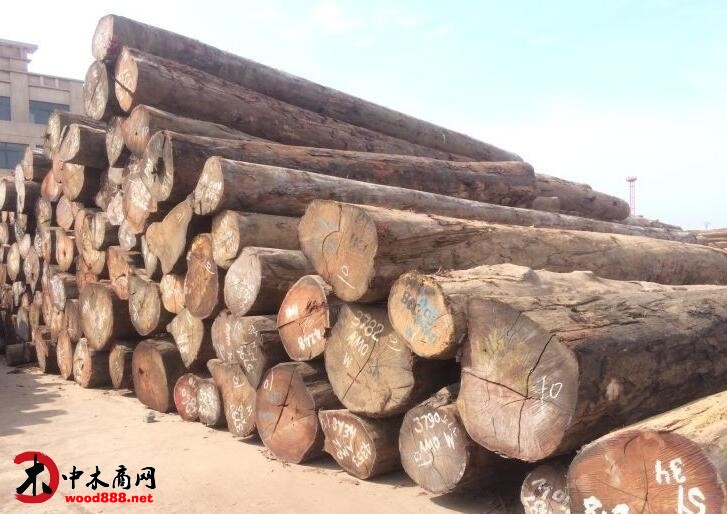 2016年蒙东俄罗斯木材交易市场交易额持续增长