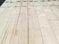 青岛森普科贸木业-产品图片