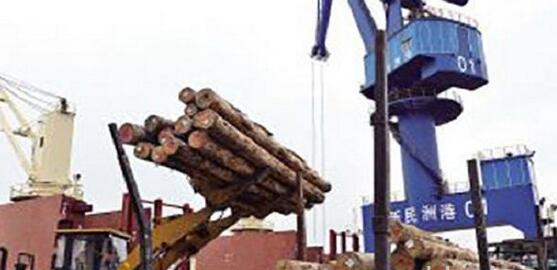 新民洲港将承担全国原木进口量的七分之一