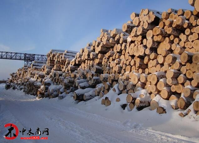 俄罗斯原木出口4月份对华增长20%