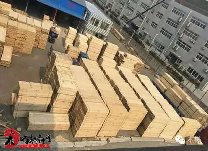 中木商网