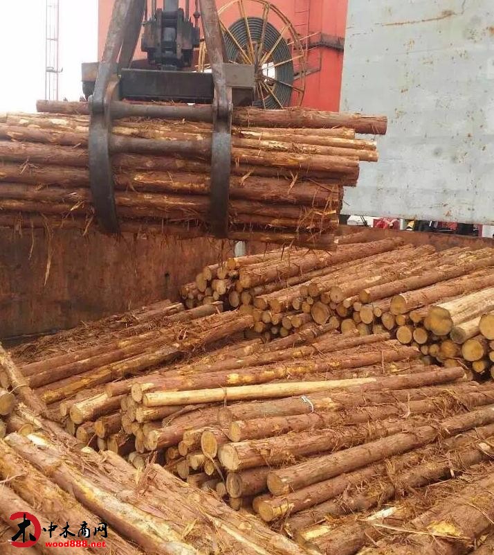 中国加大采购日本木材的力度