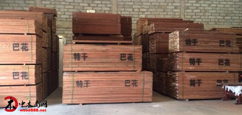 巴花锯材非洲出口价为500欧元/立方米