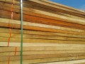 长安木制品加工厂—产品图片