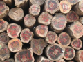 上海正山木材有限公司-产品图片