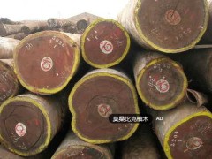 出售进口莫桑比克柚木原木图2