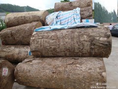 出售进口厂家直销 缅甸金丝楠木原木 进口金丝楠木木材批发
