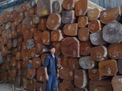 出售进口老挝花梨原木板材 老挝花梨木 鸟足紫檀木正山木材