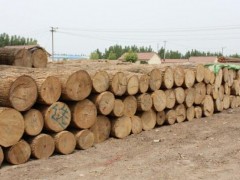出售进口俄罗斯水曲柳原木 欧洲水曲柳板材原木无节材家具材图3