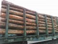 黑龙江绥芬河昊阳木业-产品图片