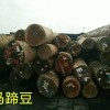 优质马蹄豆原木批发