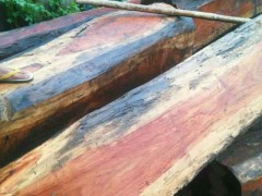 优质缅甸花梨木板材批发