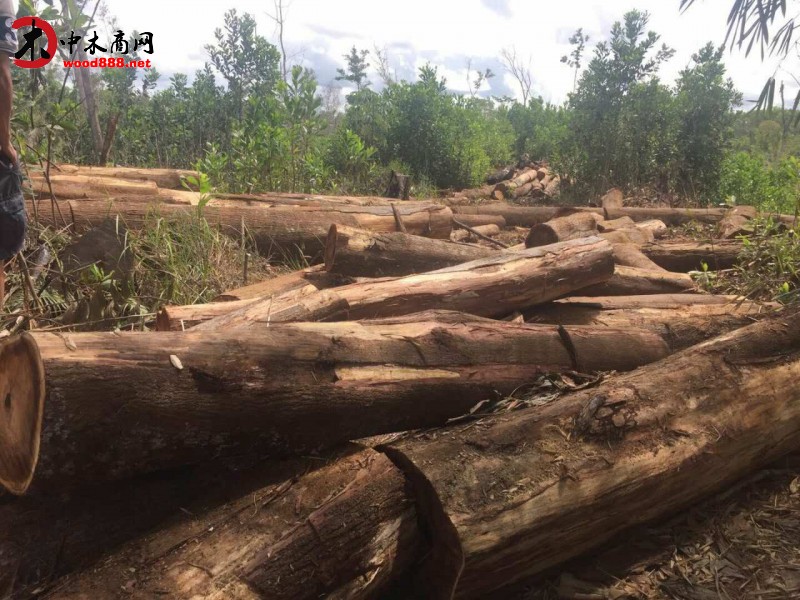 顺森木业菲律宾有限公司