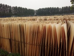 简介：