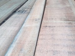 优质剥皮桉等实木板材批发图1