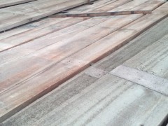 优质人工林等实木板材批发