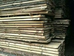 优质白杨木板材批发图1