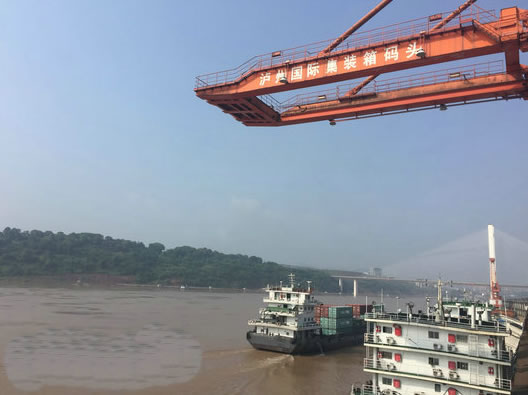 泸州港首批美国进口木材顺利抵港