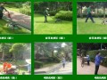 广州市丽芳园林绿化管理有限公司-产品图片