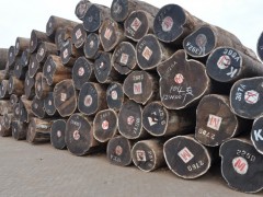 优质非洲木材批发