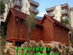厂家直销深圳芬兰高端花园户外木木屋图2