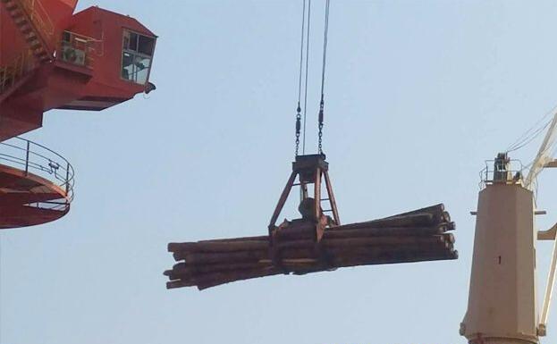 董家口港木材产业园合作项目顺利进展
