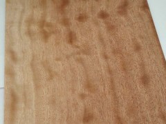 优质胶合板贴面板批发