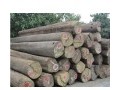 东莞市宇力木业有限公司-产品图片