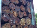 张家港禾盛隆木材贸易有限公司-产品图片