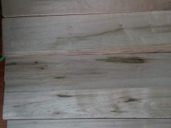 厂家直销 天然旋切木皮 色木皮子 家居装饰衣柜板材图2