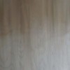 精品天然白桦无卡旋木皮 加工贴面 装饰板材