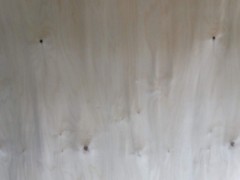 精品天然白桦无卡旋木皮 加工贴面 装饰板材图3