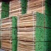 精品进口榉木烘干板材 家具用材 建筑用材