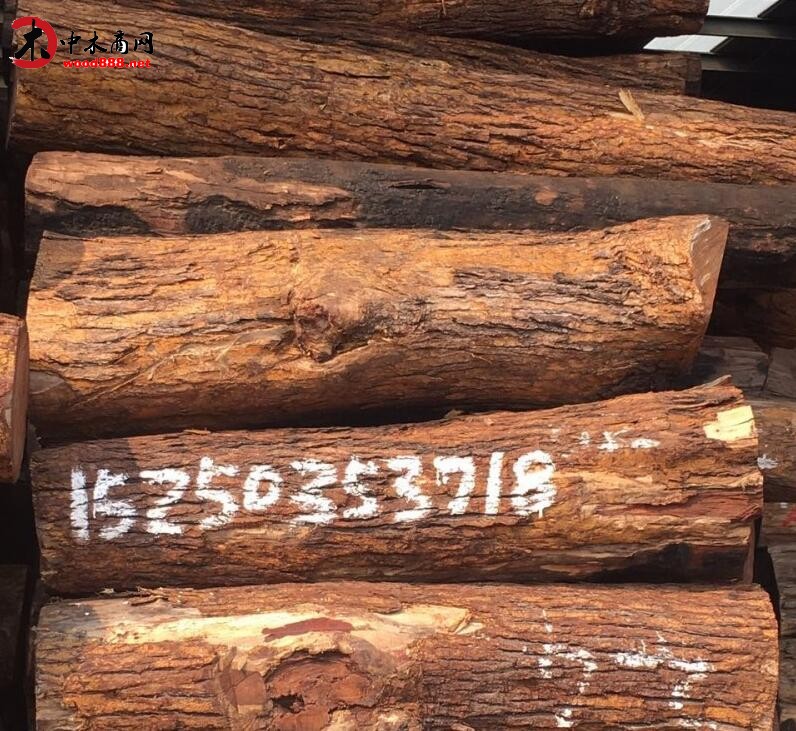 小叶红檀