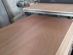 厂家直销 漂白杨木家具板 多层雕刻板 包装板 加厚图3