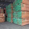 专业供应 非洲进口红玫瑰原木 优质进口板材 黄玫瑰板材批发