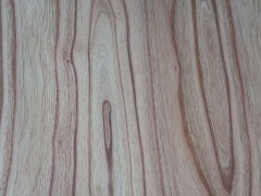 厂家直销 精品 楝木、红白椿木 实木板材批发