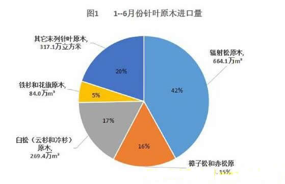 我国针叶材原木进口前三强：辐射松、白松和樟子松